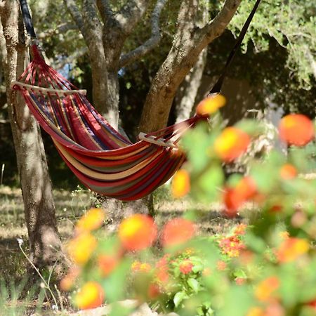 Finca Katia Capdepera  Dış mekan fotoğraf