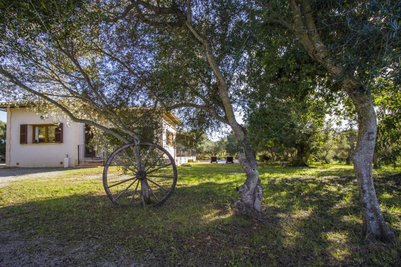 Finca Katia Capdepera  Dış mekan fotoğraf